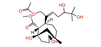 Umbellacin I